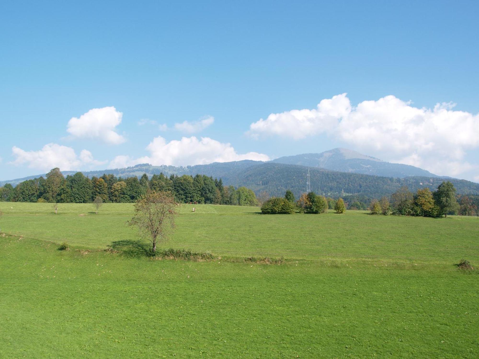Neuwirt - Boutiquehotel & Wirtshaus Bad Vigaun Exteriör bild